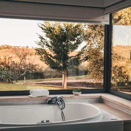 Vale Pisco Holiday home